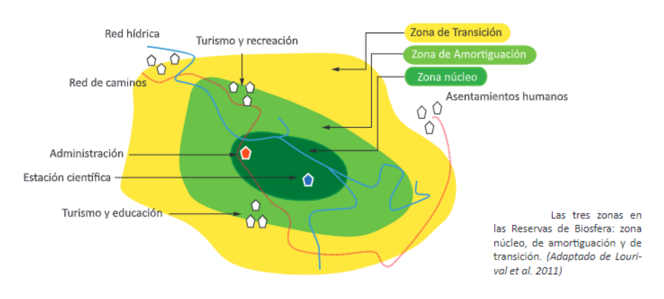 Zona de transición, zona de amortguación y zona núcleo del proyecto de Central Los Rulos en Limache