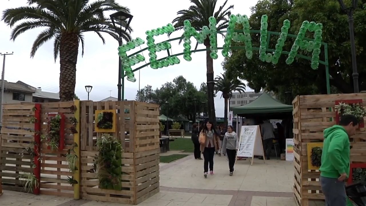 Feria del Medioambiente Villa Alemana