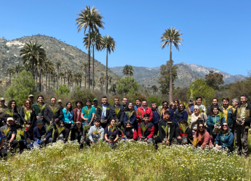 Vecinos y estudiantes plantan palma chilena junto a Conaf en Ocoa