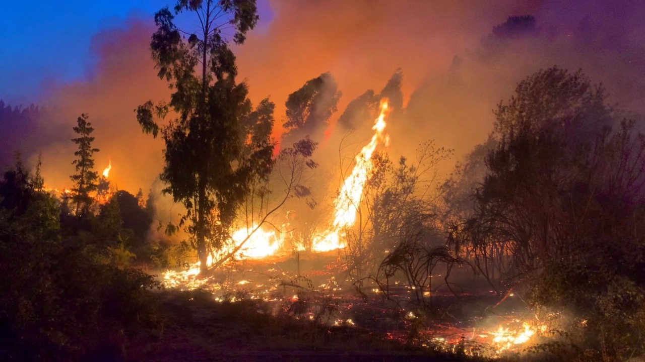Mesa Técnica de Incendios Forestales en la Región de Valparaíso