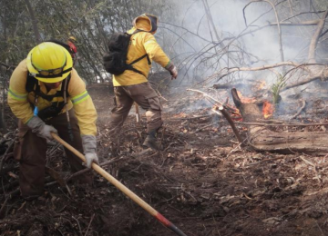 Cancelan alerta temprana preventiva por amenaza de incendios forestales en la región