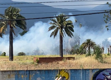 Cierran ruta F100G por incendio forestal en Olmué