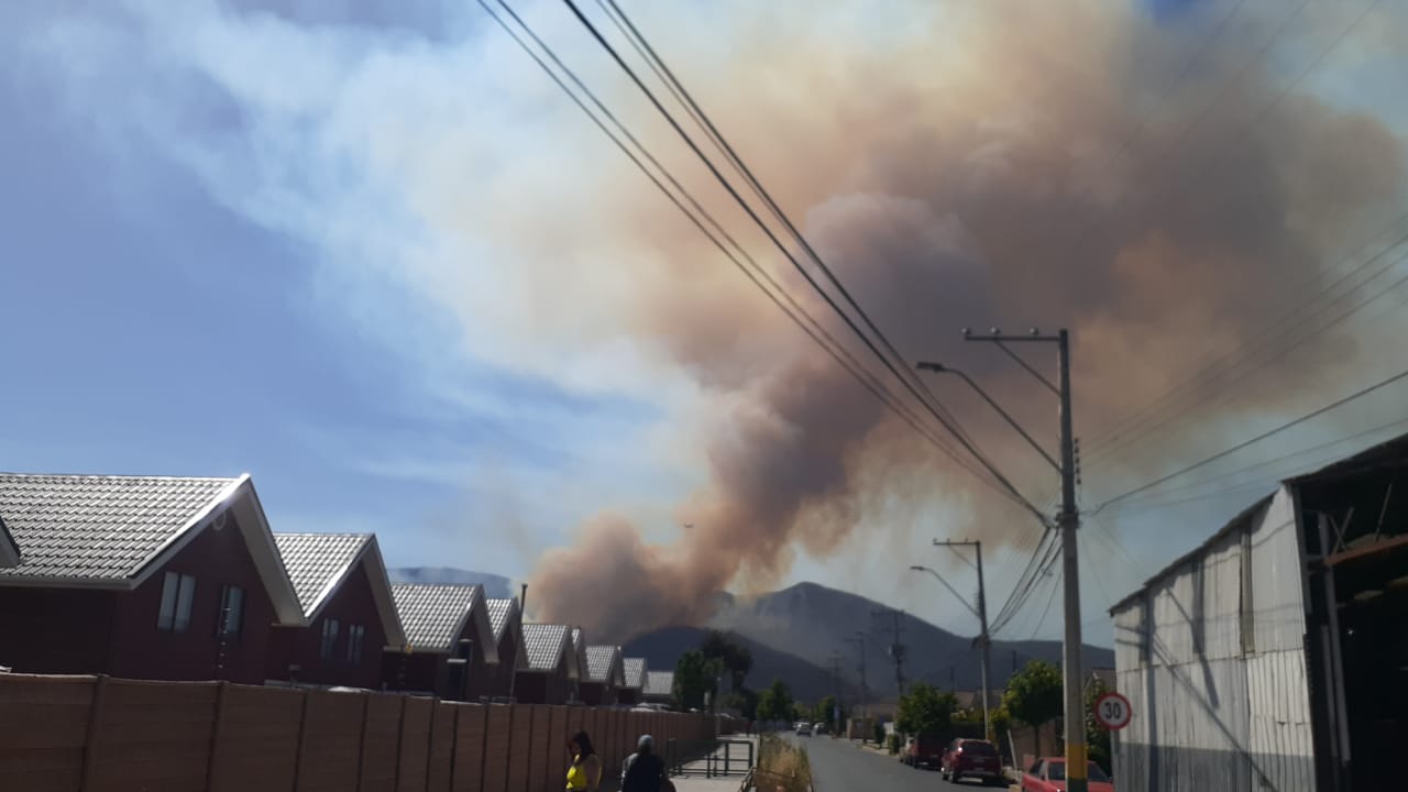 Columna de humo provocada por incendio en Lo Rojas en La Cruz