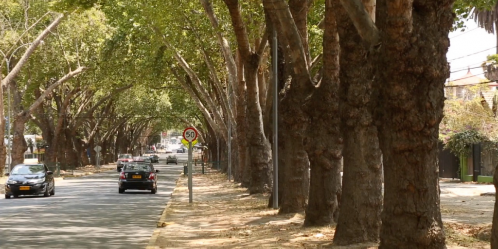 Concejo municipal de Limache está en desacuerdo con nombrar Zona Típica a avenida Urmeneta