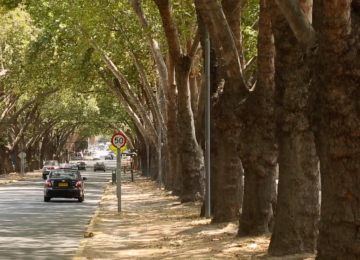 Concejo municipal de Limache está en desacuerdo con nombrar Zona Típica a avenida Urmeneta
