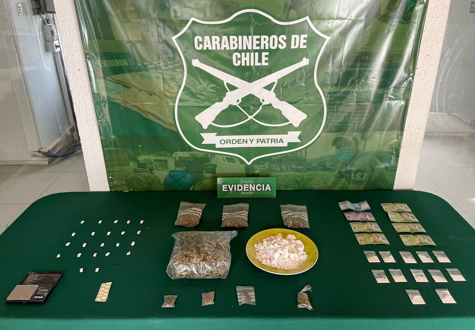 Decomisan $10 millones en drogas en viviendas de San Felipe, Catemu y Panquehue