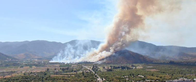 Incendio forestal en Lo Rojas en La Cruz. Emiten alerta roja