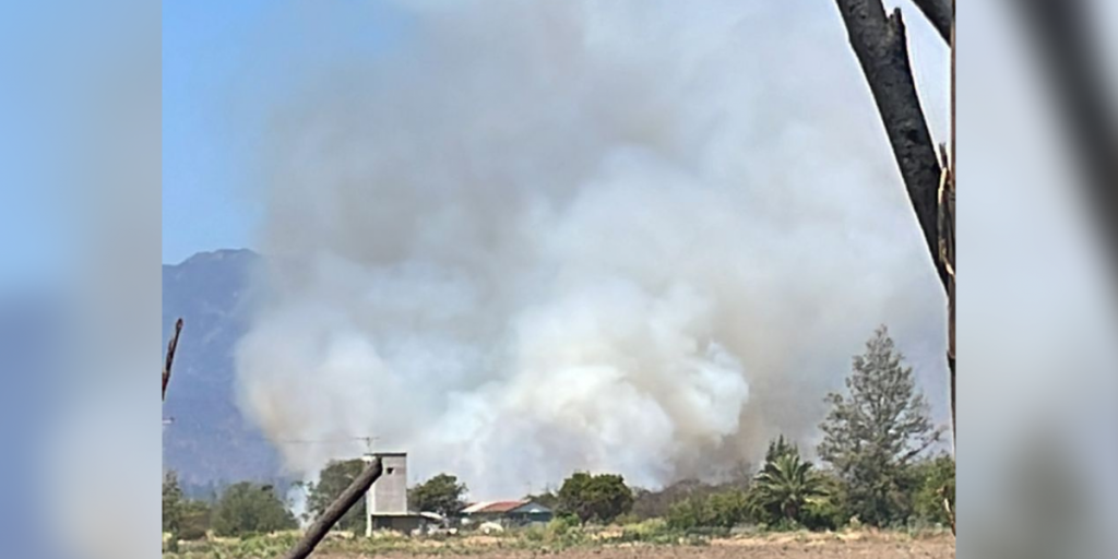 Incendio forestal en San Pedro en Quillota 18 de noviembre de 2022