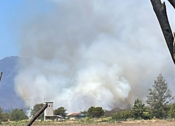 Incendio forestal en San Pedro en Quillota 18 de noviembre de 2022