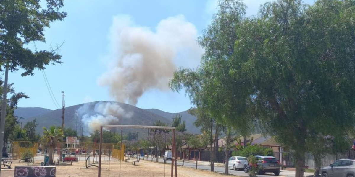 Incendios forestales afectan a La Calera, La Cruz, Limache y Quilpué