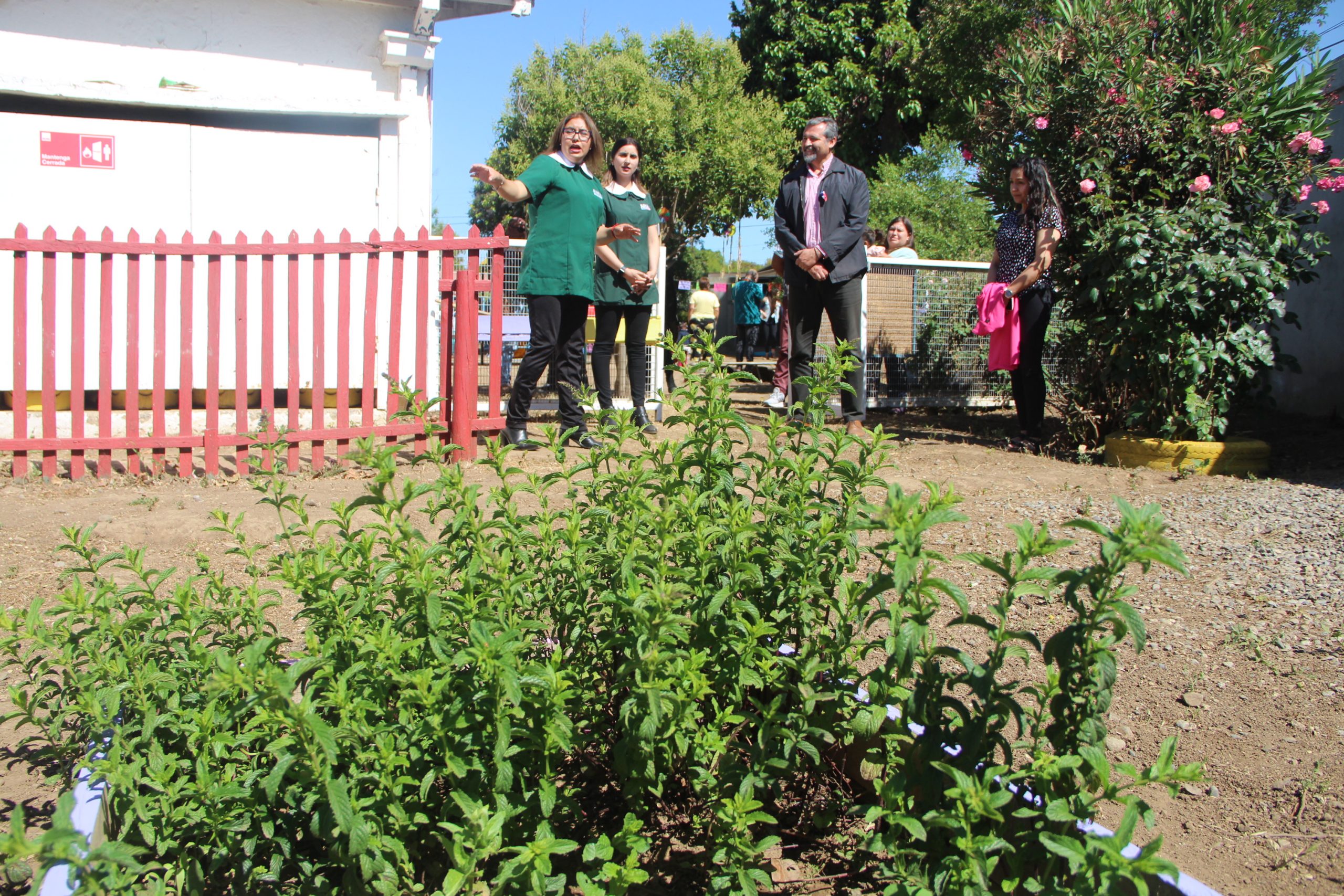 Quillota Jardín infantil de San Pedro estrenó espacio lector y códigos QR para identificar árboles