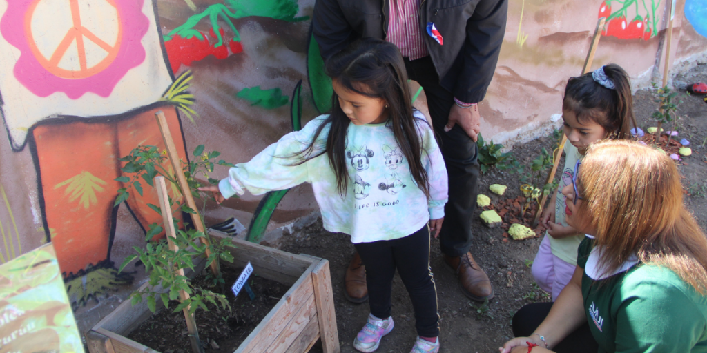 Quillota: Jardín infantil estrenó espacio lector y códigos QR para identificar árboles