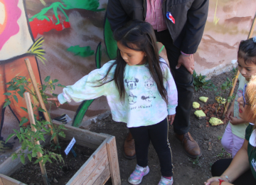 Quillota: Jardín infantil estrenó espacio lector y códigos QR para identificar árboles