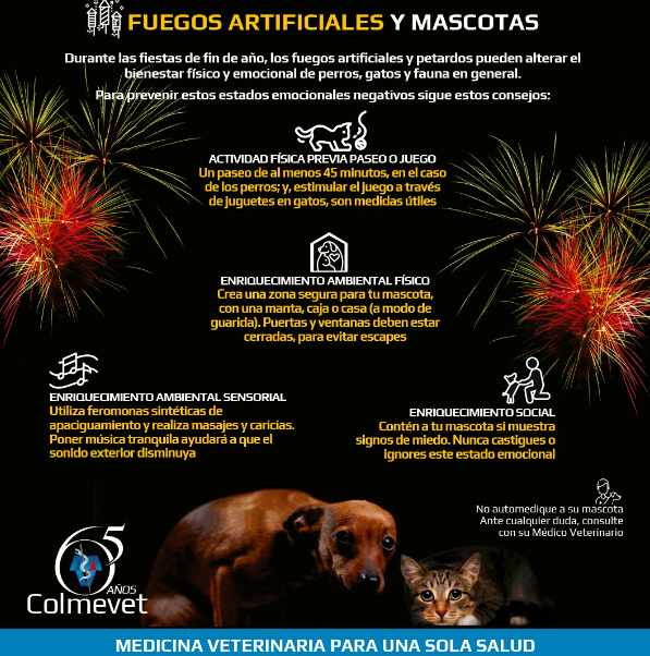 C mo Proteger A Mi Mascota Durante Los Fuegos Artificiales C mo Proteger A Mi Mascota Durante Los Fuegos Artificiales