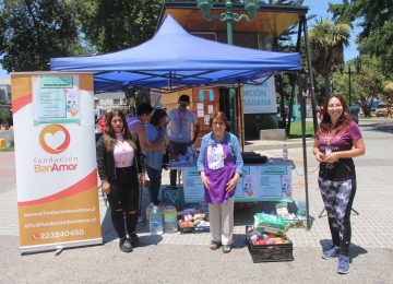 Conoce seis centros de acopio en Quillota para ayudar a damnificados por incendio de Viña del Mar