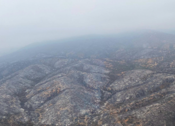 Declaran controlado el incendio forestal de Quilpué: cancelan Alerta Roja
