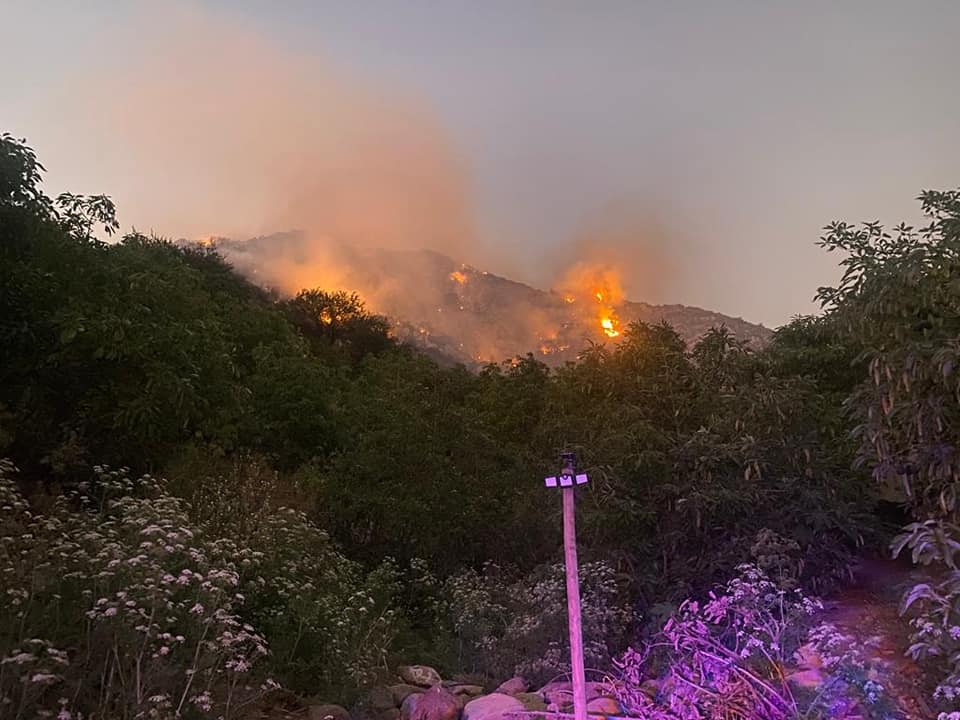 En prisión preventiva quedó presunto autor de incendio forestal en Catemu