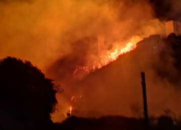 Incendio en Viña del Mar ha dañado más de 200 casas y 110 hectáreas