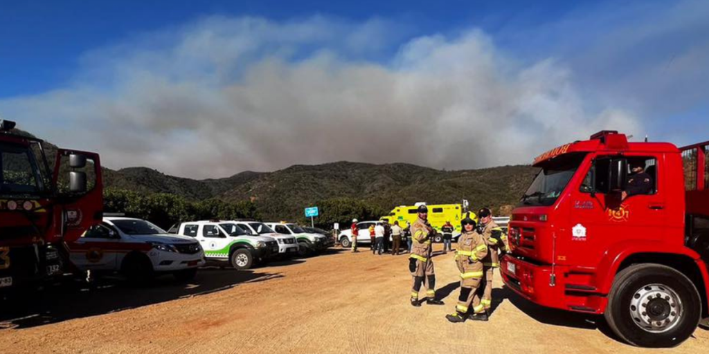 Incendio forestal en Quilpué ha afectado unas 100 hectáreas