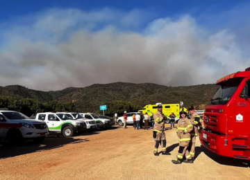 Incendio forestal en Quilpué ha afectado unas 100 hectáreas