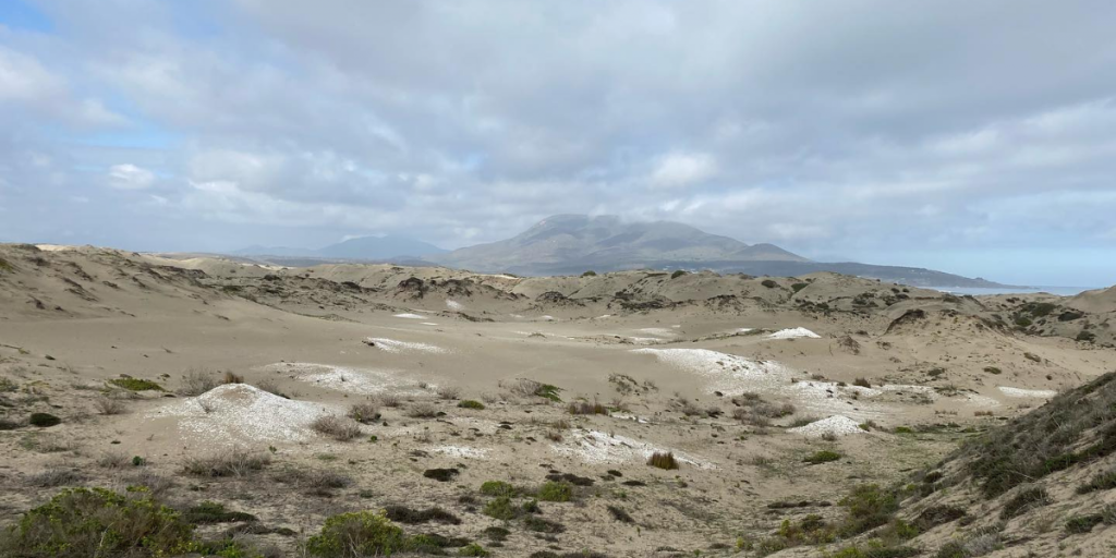 La Ligua: Quedan pocos cupos para participar en caminata a las Dunas de Longotoma