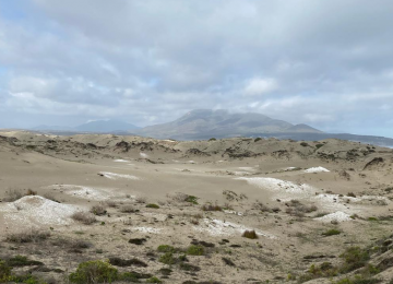 La Ligua: Quedan pocos cupos para participar en caminata a las Dunas de Longotoma
