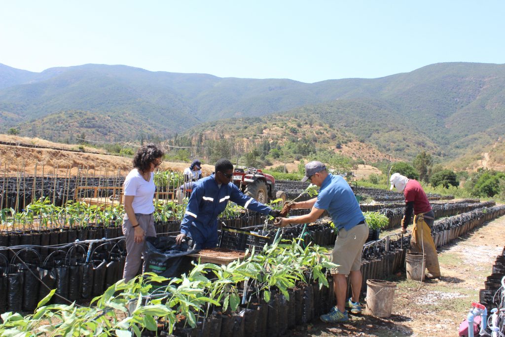 Una mujer lidera el proyecto de desarrollo sostenible en Agrícola La Quebrada del Ají, ubicada en Boco, Quillota, Región de Valparaíso. Se trata de Carolina Salas Muñoz, ingeniero civil de la Universidad Católica de Chile, actual gerente de Sostenibilidad.