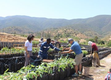 Una mujer lidera el proyecto de desarrollo sostenible en Agrícola La Quebrada del Ají, ubicada en Boco, Quillota, Región de Valparaíso. Se trata de Carolina Salas Muñoz, ingeniero civil de la Universidad Católica de Chile, actual gerente de Sostenibilidad.