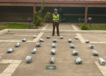 Control carretero en la ruta 5 norte permitió incautar 24 kilos de marihuana