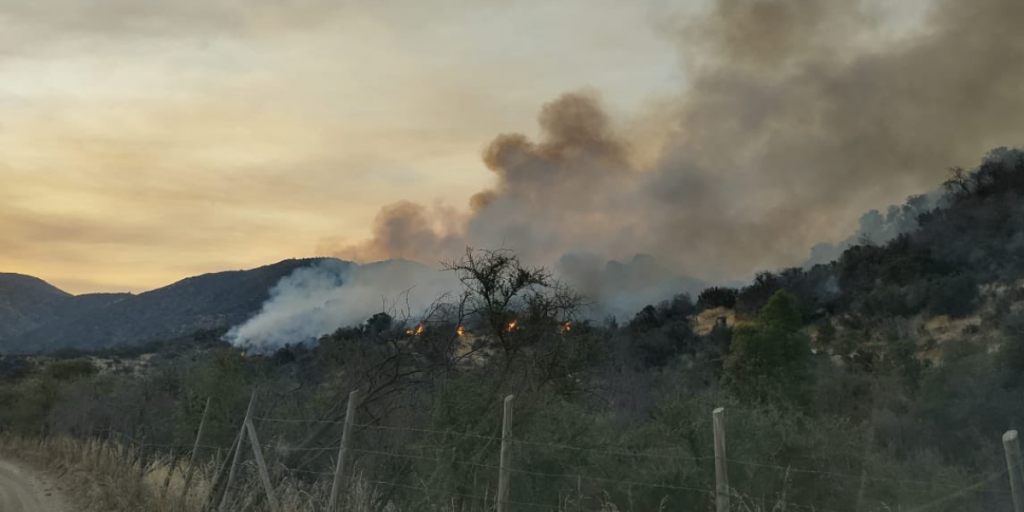 Por amenaza de incendio forestal: 26 comunas de la región de Valparaíso en alerta temprana preventiva