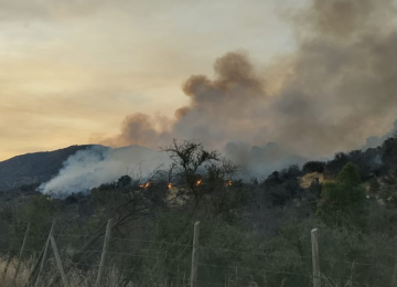 Por amenaza de incendio forestal: 26 comunas de la región de Valparaíso en alerta temprana preventiva