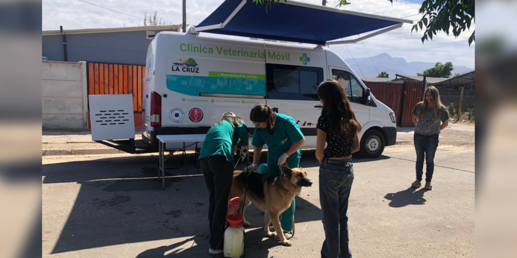 Baños sanitarios gratuitos para perros en La Cruz: fechas y lugares
