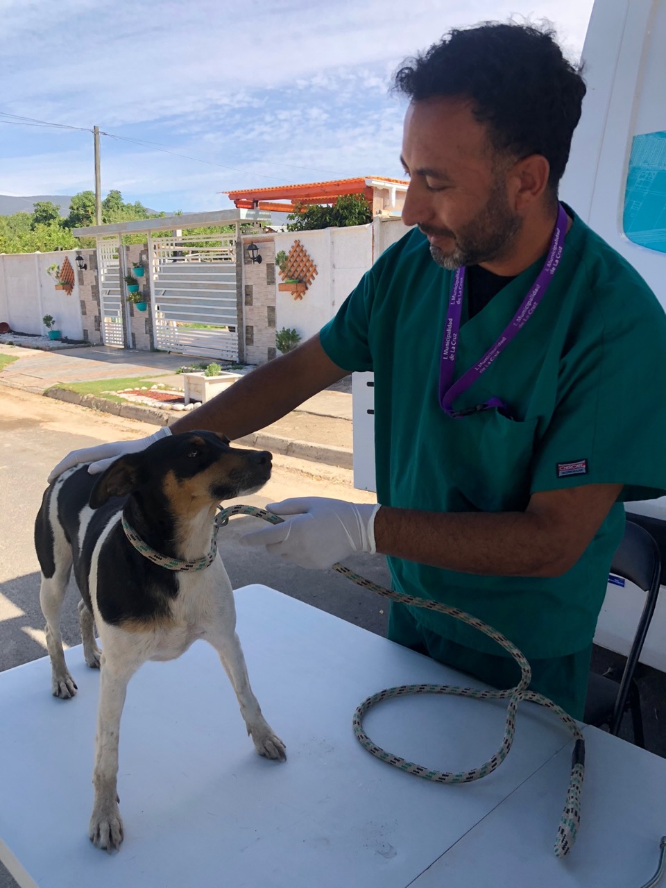 Baños sanitarios gratuitos para perros en La Cruz fechas y lugares