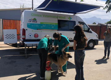 Baños sanitarios gratuitos para perros en La Cruz: fechas y lugares