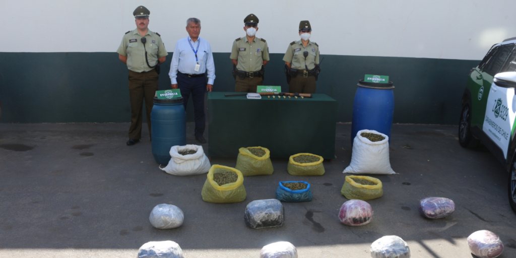 En Petorca carabineros incautó más de 29 kilos de marihuana