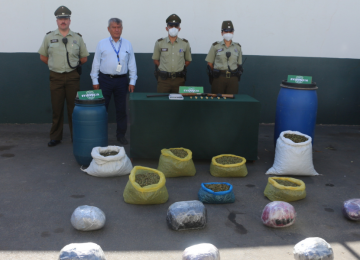 En Petorca carabineros incautó más de 29 kilos de marihuana