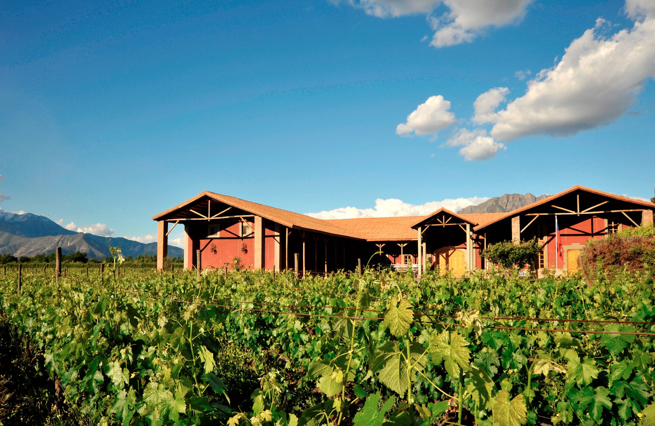 Enoturismo en Viña von Siebenthal aprendiendo del mundo del vino en el Aconcagua