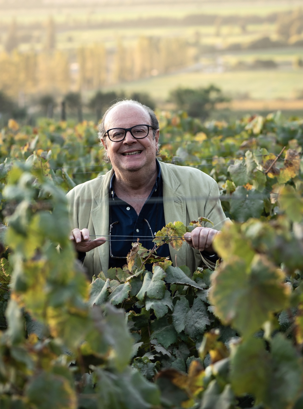 Enoturismo en Viña von Siebenthal aprendiendo del mundo del vino en el Aconcagua