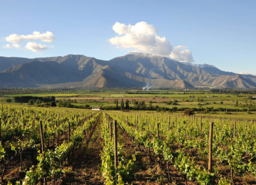 Enoturismo en Viña von Siebenthal: aprendiendo del mundo del vino en el Aconcagua