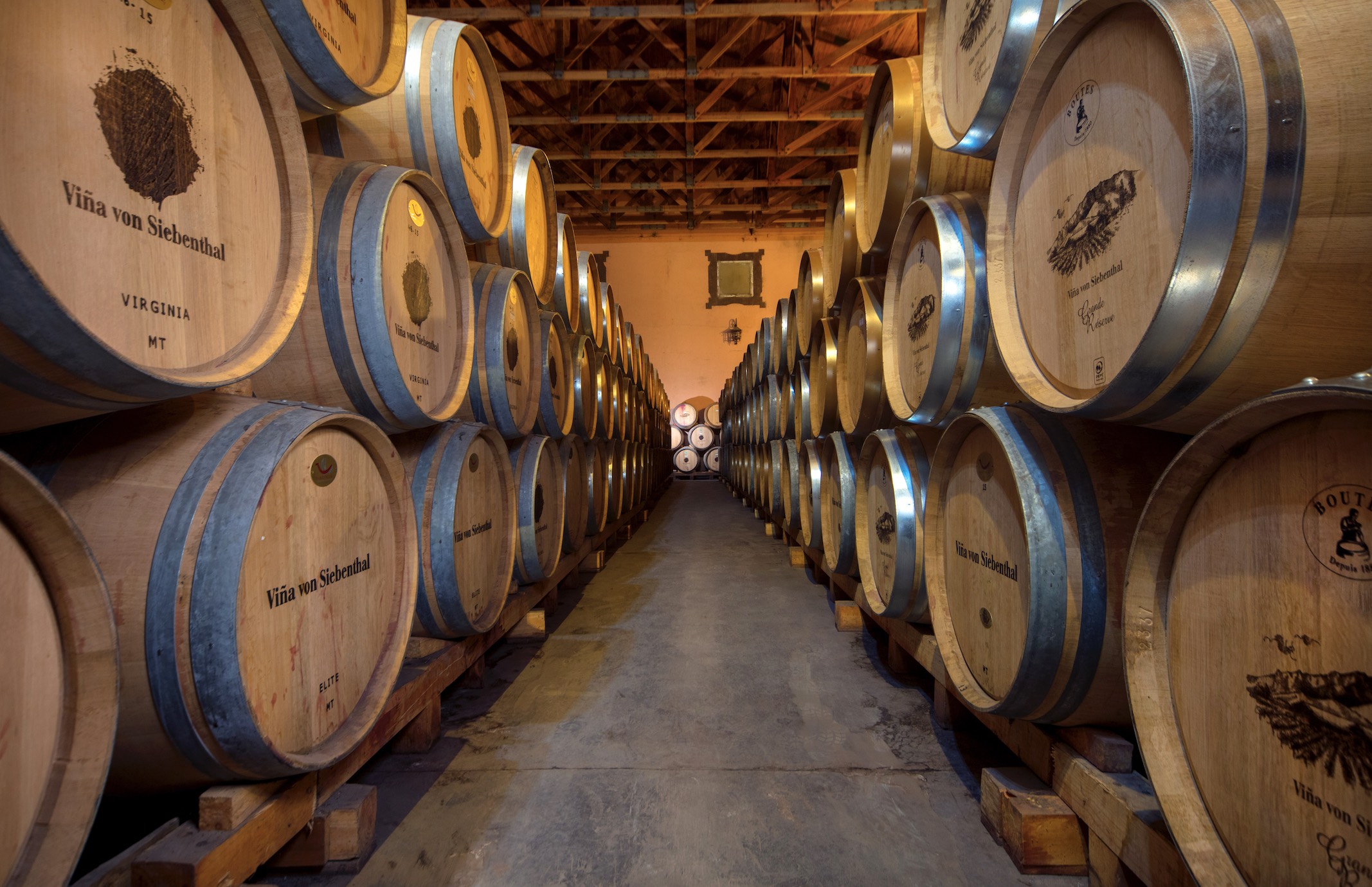 Enoturismo en Viña von Siebenthal aprendiendo del mundo del vino en el Aconcagua