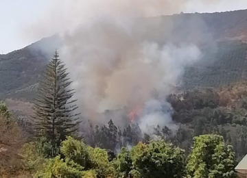 Incendio forestal afecta a Pocochay en La Cruz