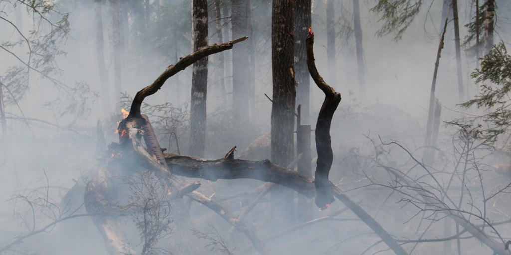 Por amenaza de incendio forestal: 27 comunas de la región de Valparaíso en alerta temprana preventiva
