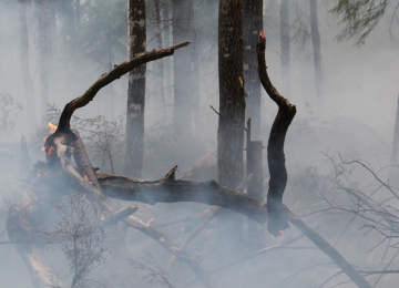 Por amenaza de incendio forestal: 27 comunas de la región de Valparaíso en alerta temprana preventiva