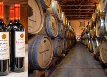 Carmenere San Valentino de Viña von Siebenthal: un homenaje a la fuerza de la naturaleza