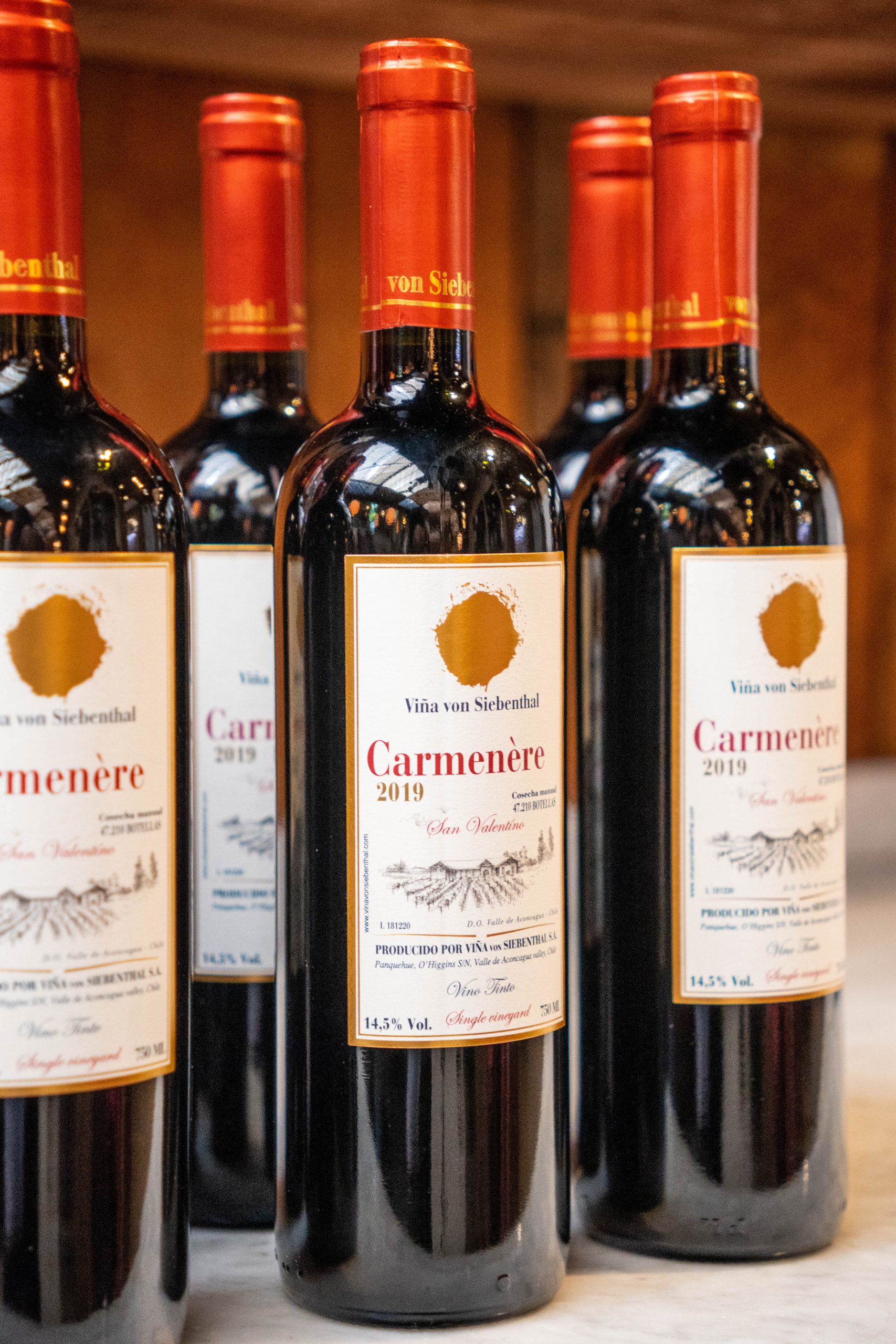 Carmenere San Valentino de Viña von Siebenthal un homenaje a la fuerza de la naturaleza