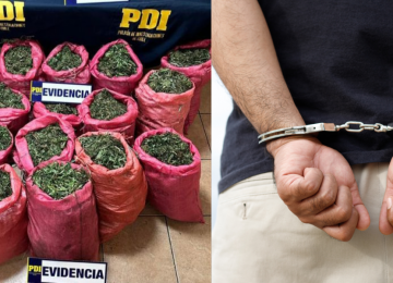 Detienen a hombre tras incautación de 131 kilos de marihuana en Cabildo