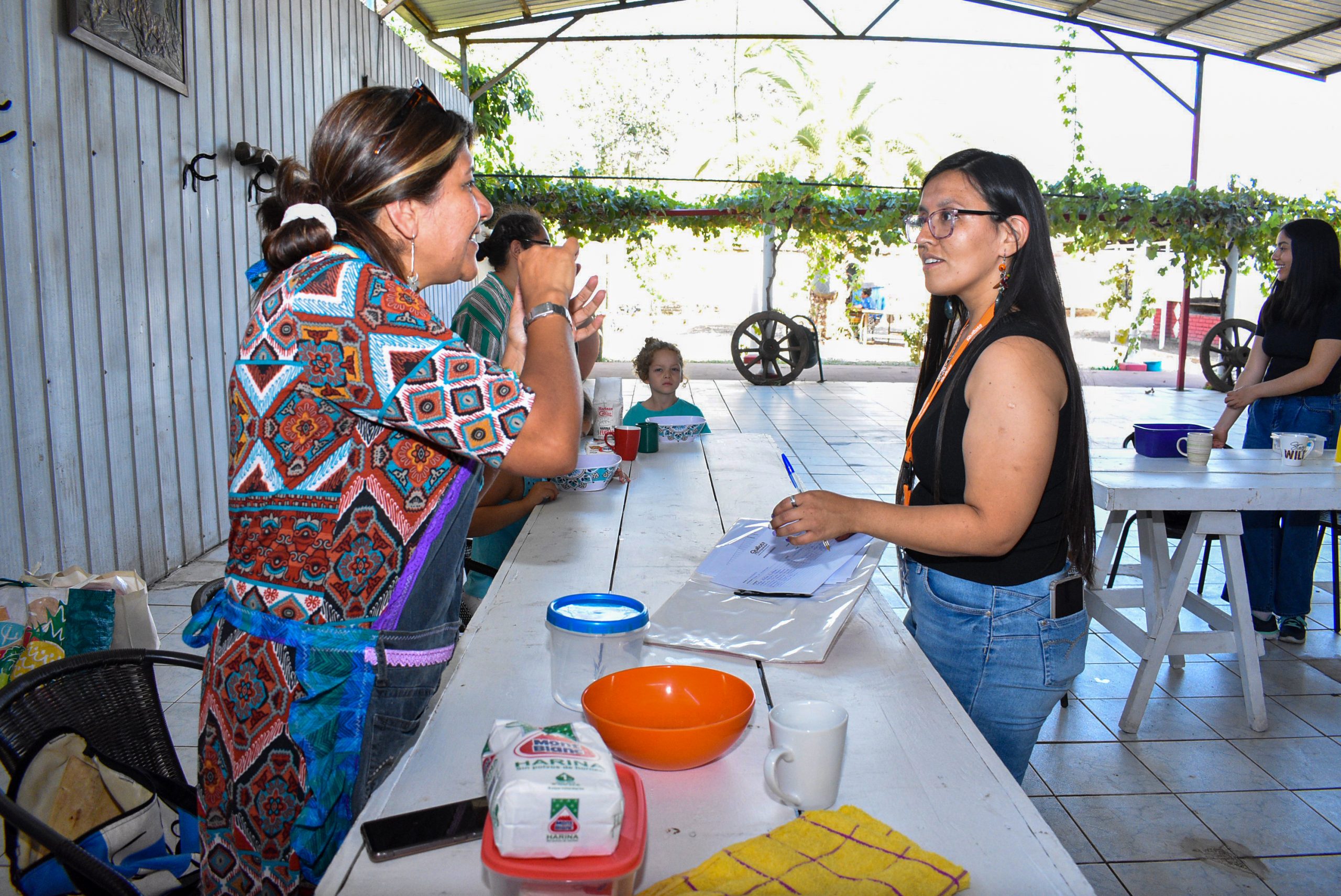 Hierbas medicinales y comida mapuche parten talleres gratuitos de febrero en Quillota 