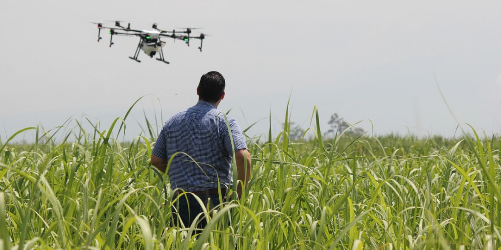 Proyecto Corfo Fortalece Pyme Aconcagua Quillota potenciará nuevas tecnologías en agricultores locales