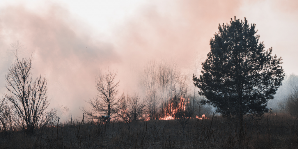 Región de Valparaíso: Declaran alerta por amenaza de incendio forestal