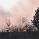 Región de Valparaíso: Declaran alerta por amenaza de incendio forestal